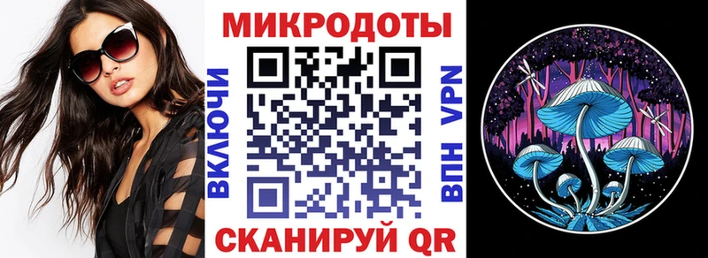 Галлюциногенные грибы Psilocybe  где можно купить наркотик  Аткарск 